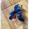 Bucephalandra blu metallic