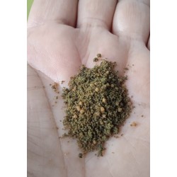 Spirulina supersoft facilplant
