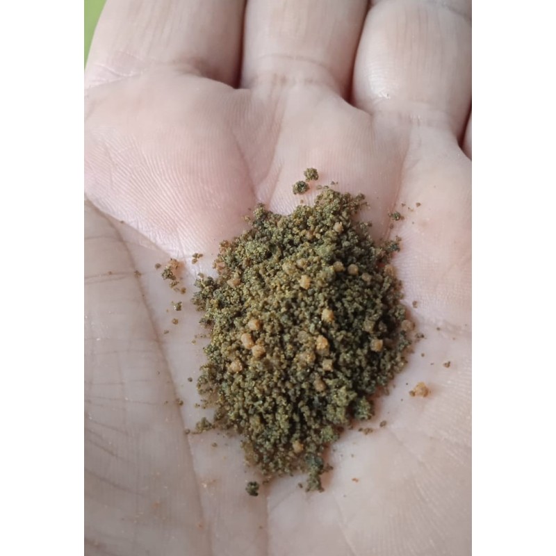 Spirulina supersoft facilplant Spirulina supersoft facilplant