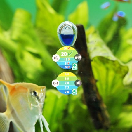 JBL ProAquaTest CO2-pH (permanente)