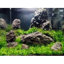 roccia vulcanica grigio/nera