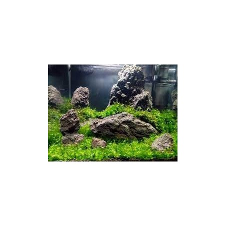 Roccia vulcanica grigio/nera