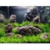 roccia vulcanica grigio/nera