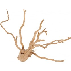 Radici red wood 15-30 cm