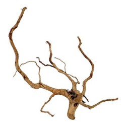 Radici red wood 80+ cm