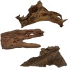 Radice mangrovia 20-30 cm