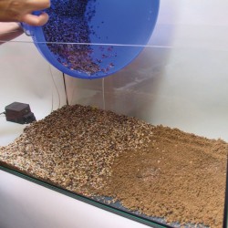 AquaBasis plus 5 l