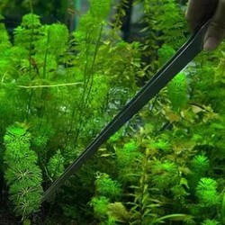 Pinza dritta acciaio inossidabile 27 cm