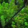 Pinza dritta acciaio inossidabile 27 cm