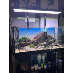 Plafoniera WRGB 60 cm