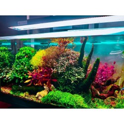 Plafoniera WRGB 100 cm