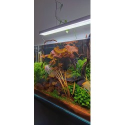 Plafoniera WRGB 100 cm