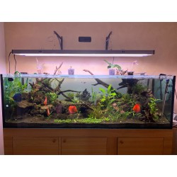 Plafoniera WRGB 120 cm