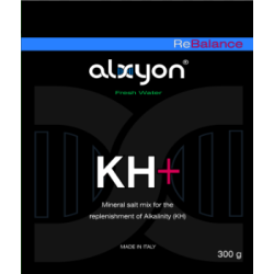 ReBalance KH+ 300g