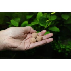 JBL Proflora 7+13 sfere per radici 200gr