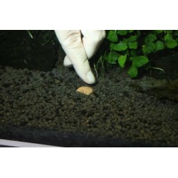 JBL Proflora 7+13 sfere per radici 200gr