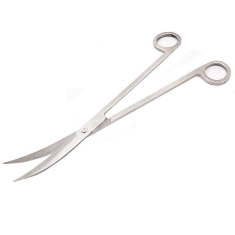 Forbici curve in acciaio inossidabile 25cm