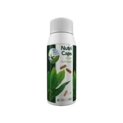 Colombo flora nutri caps 10X