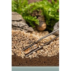 Colombo flora nutri caps 10X