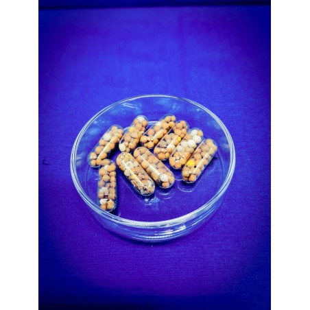 Colombo flora nutri caps 10X